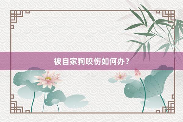被自家狗咬伤如何办？
