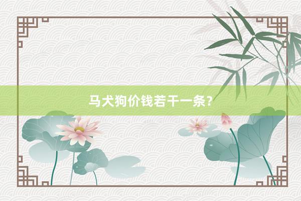 马犬狗价钱若干一条?